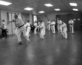 Genki-Jutsu, Children's Karate School